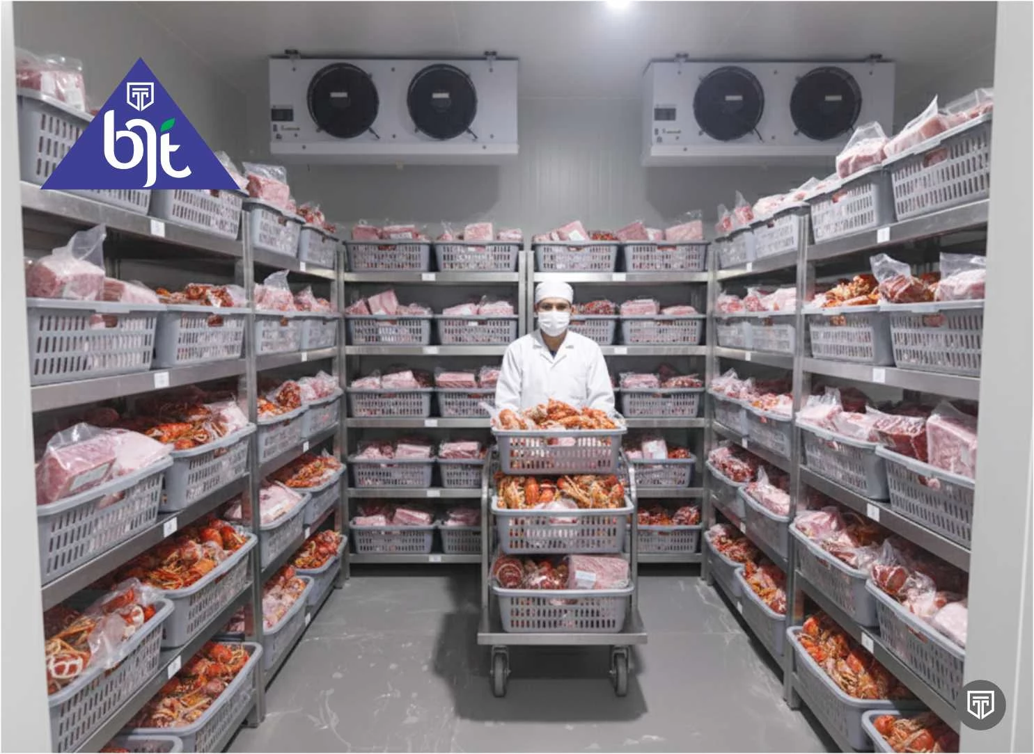 Cold Storage Freezer untuk Simpan Udang Beku Inovasi BJT